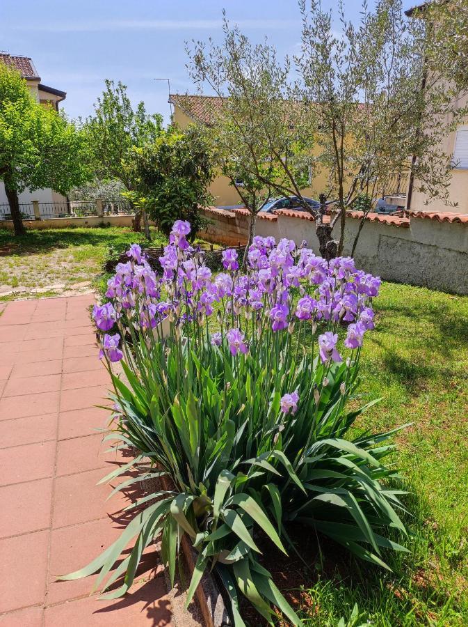 Apartments Erenda Fuškulin Kültér fotó